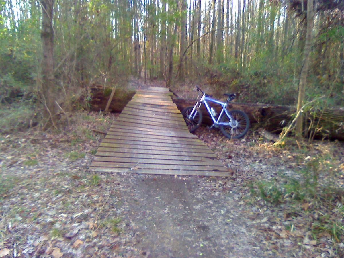 A wooden bridge spans a small gap on a dirt trail surrounded by trees. A blue mountain bike rests against a log to the right of the bridge. The forest floor is covered with leaves and sparse vegetation, indicating a natural woodland area. Stanky Creek mountain bike trail.