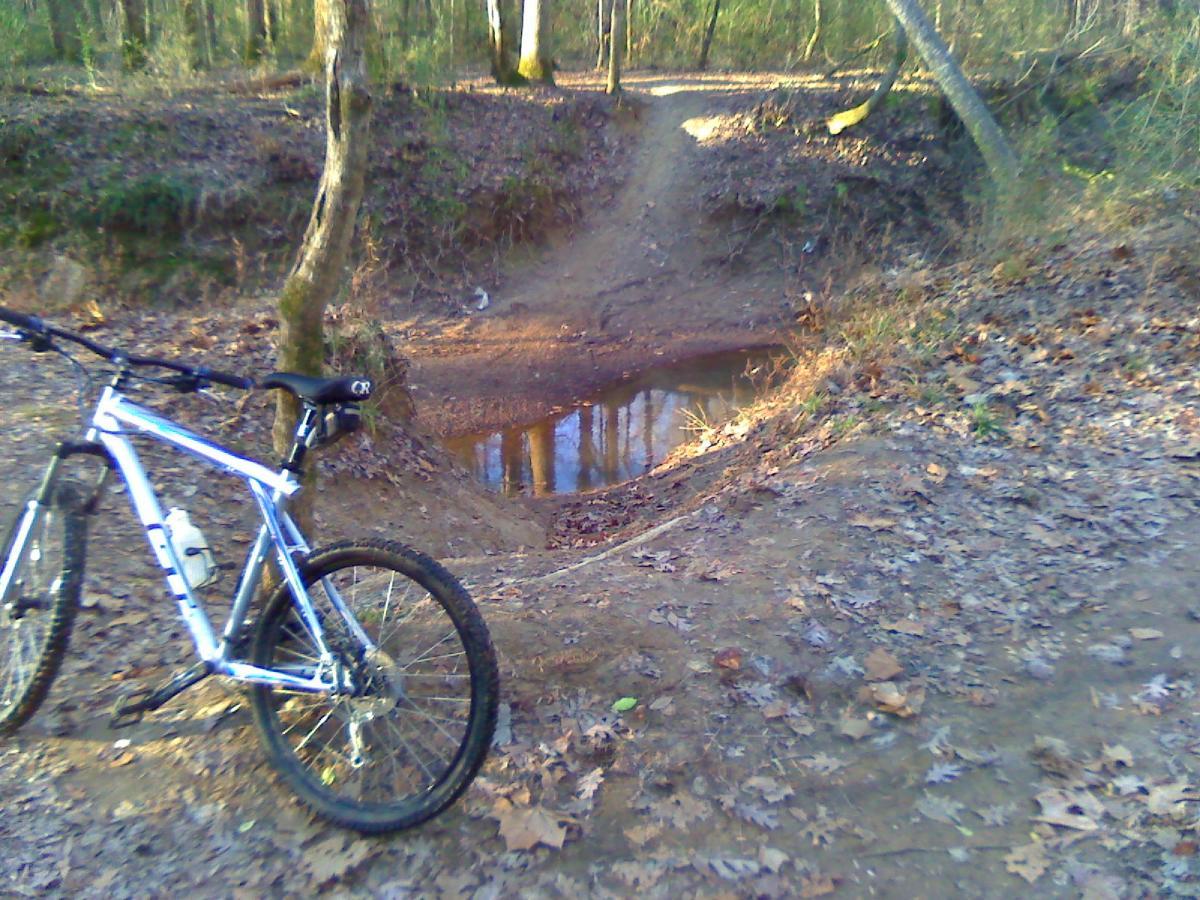 A mountain bike parked on a dirt path surrounded by fallen leaves and trees, with a small puddle visible nearby. The trail curves in the background, indicating a winding path through a nature setting. Stanky Creek mountain bike trail.