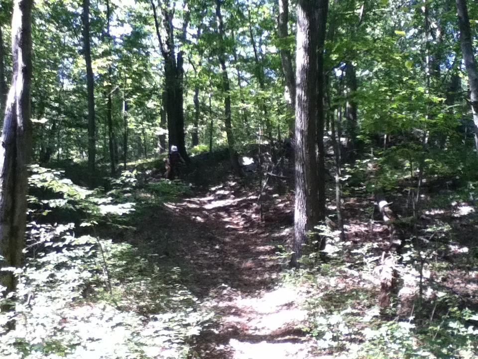 A sunlit forest path winding through tall trees, with lush green foliage and scattered underbrush. The scene includes shadows cast by the trees and a hint of a figure in the distance along the trail. Allamuchy State Park-North mountain bike trail.