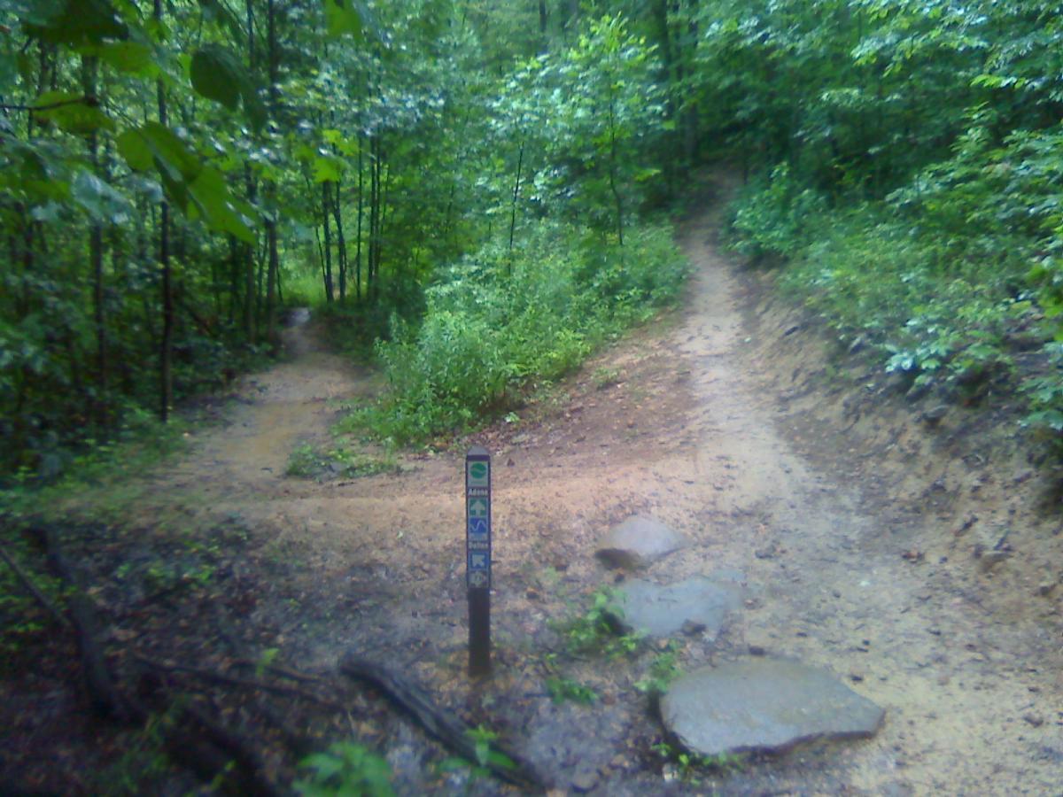 A hiking trail split into two paths, surrounded by lush green foliage and trees. A pathway marker stands in the foreground, indicating directions for hikers. The ground appears damp, suggesting recent rain. Arrowhead Trails mountain bike trail.