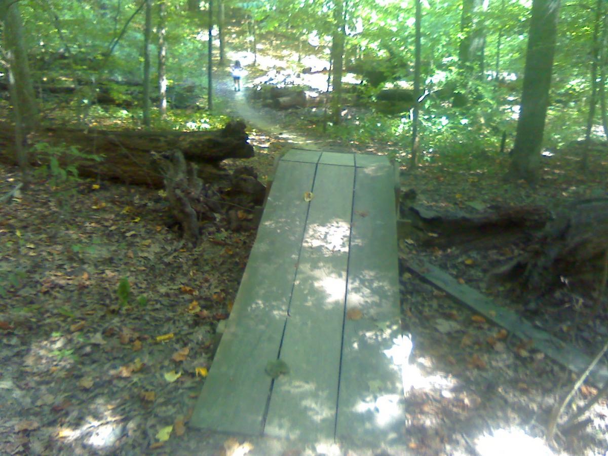A wooden bridge leading through a lush, green forest with fallen trees and scattered leaves on the ground. In the background, a faint path can be seen, suggesting an area for hiking or exploration. Sunlight filters through the trees, creating dappled patterns on the bridge. Stanky Creek mountain bike trail.