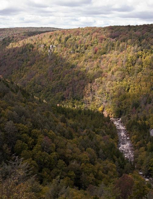 A scenic view of a lush, wooded valley featuring a river winding through the dense foliage, with autumn colors visible in the trees. The landscape is framed by hills under a partly cloudy sky. Blackwater Falls State Park mountain bike trail.