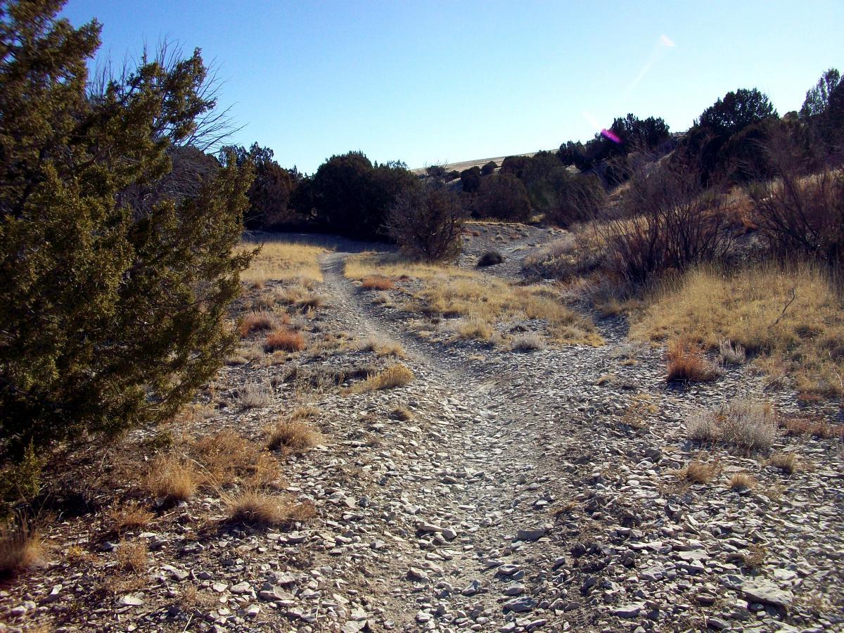 A narrow dirt path winding through a dry landscape with sparse vegetation, rocks, and patches of grass under a clear blue sky. The scene conveys a sense of tranquility and natural beauty, inviting exploration of the trail ahead. South Shore Lake Pueblo mountain bike trail.