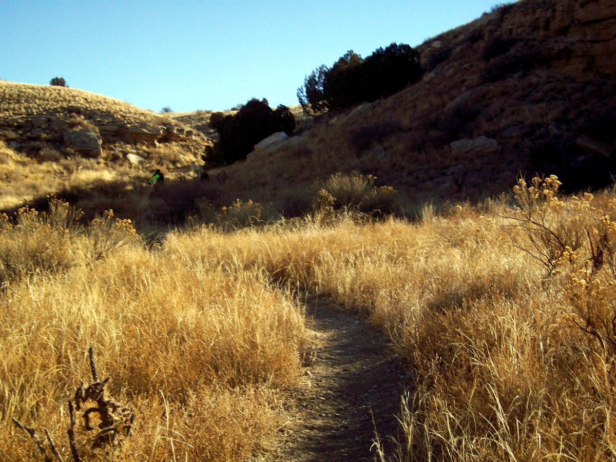 A dirt path winds through tall golden grasses in a natural landscape, flanked by rolling hills and rocky outcrops under a clear blue sky. A hint of greenery from shrubs and trees can be seen in the background. South Shore Lake Pueblo mountain bike trail.