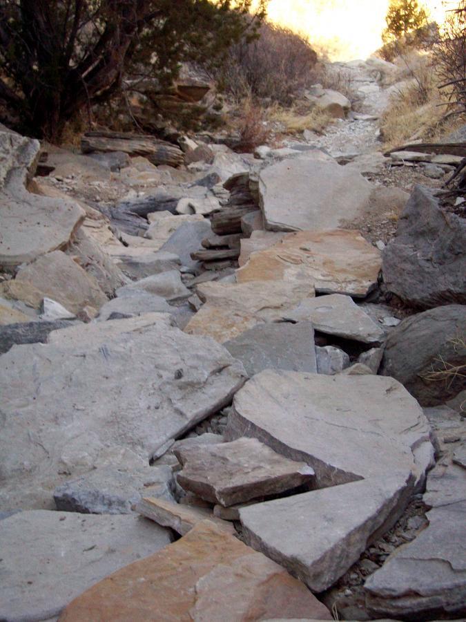 Rocky path leading through a natural landscape, featuring various sizes and shapes of stones and boulders scattered along the trail, with sparse vegetation on either side. The background shows a hint of sunlight filtering through the trees. South Shore Lake Pueblo mountain bike trail.