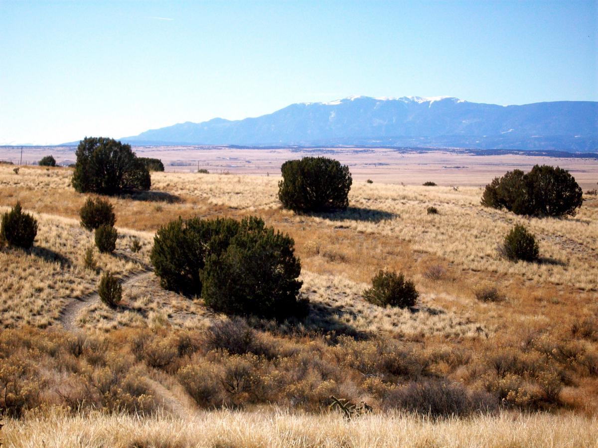 Wide landscape featuring rolling golden terrain dotted with shrubs, leading to a distant mountain range. The sky is clear and bright, showcasing a serene and expansive natural environment. South Shore Lake Pueblo mountain bike trail.