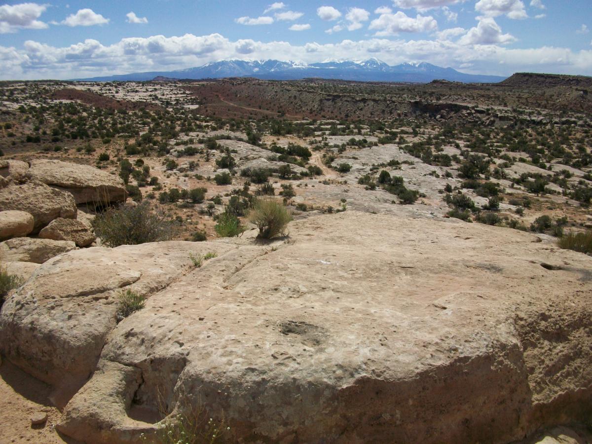 A panoramic view of a rugged landscape featuring rocky terrain and scattered shrubs, with distant mountains capped by snow under a partly cloudy sky. The foreground includes large boulders and patches of grass amidst the arid surroundings. Sovereign Single Track mountain bike trail.