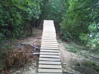 A narrow wooden boardwalk leading through a dense green forest, surrounded by foliage and underbrush. Forsythe Park mountain bike trail.