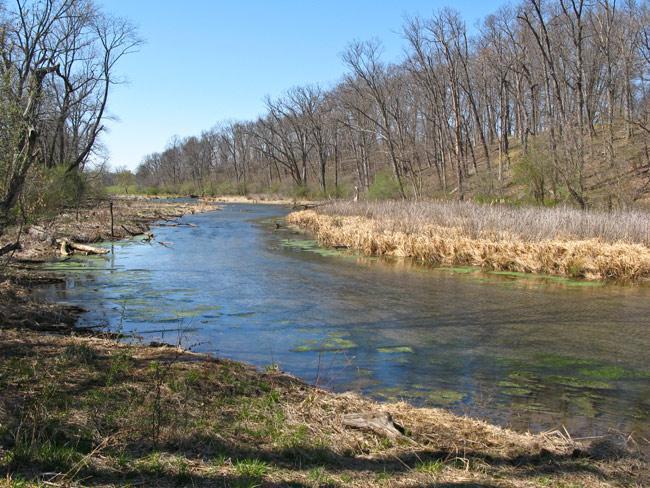 A serene river winding through a landscape of bare trees and grass, with patches of water lilies and reeds along the banks under a clear blue sky. The scene captures the tranquility of a natural setting in early spring. 3rd Battle Of Winchester Trail mountain bike trail.