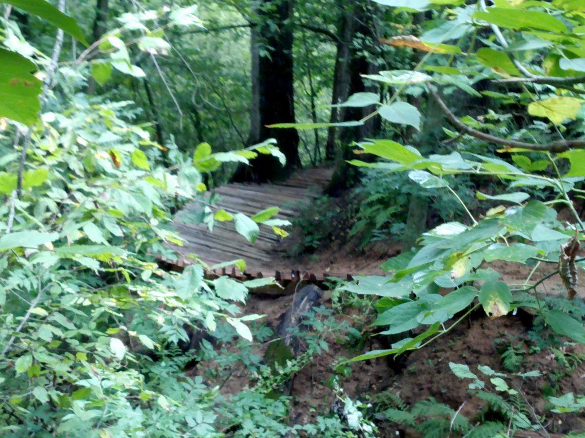 A wooden pathway winds through a dense forest, surrounded by lush green foliage. Sunlight filters through the trees, casting gentle shadows on the trail. The scene captures the tranquility of a natural setting. Lowes Creek mountain bike trail.
