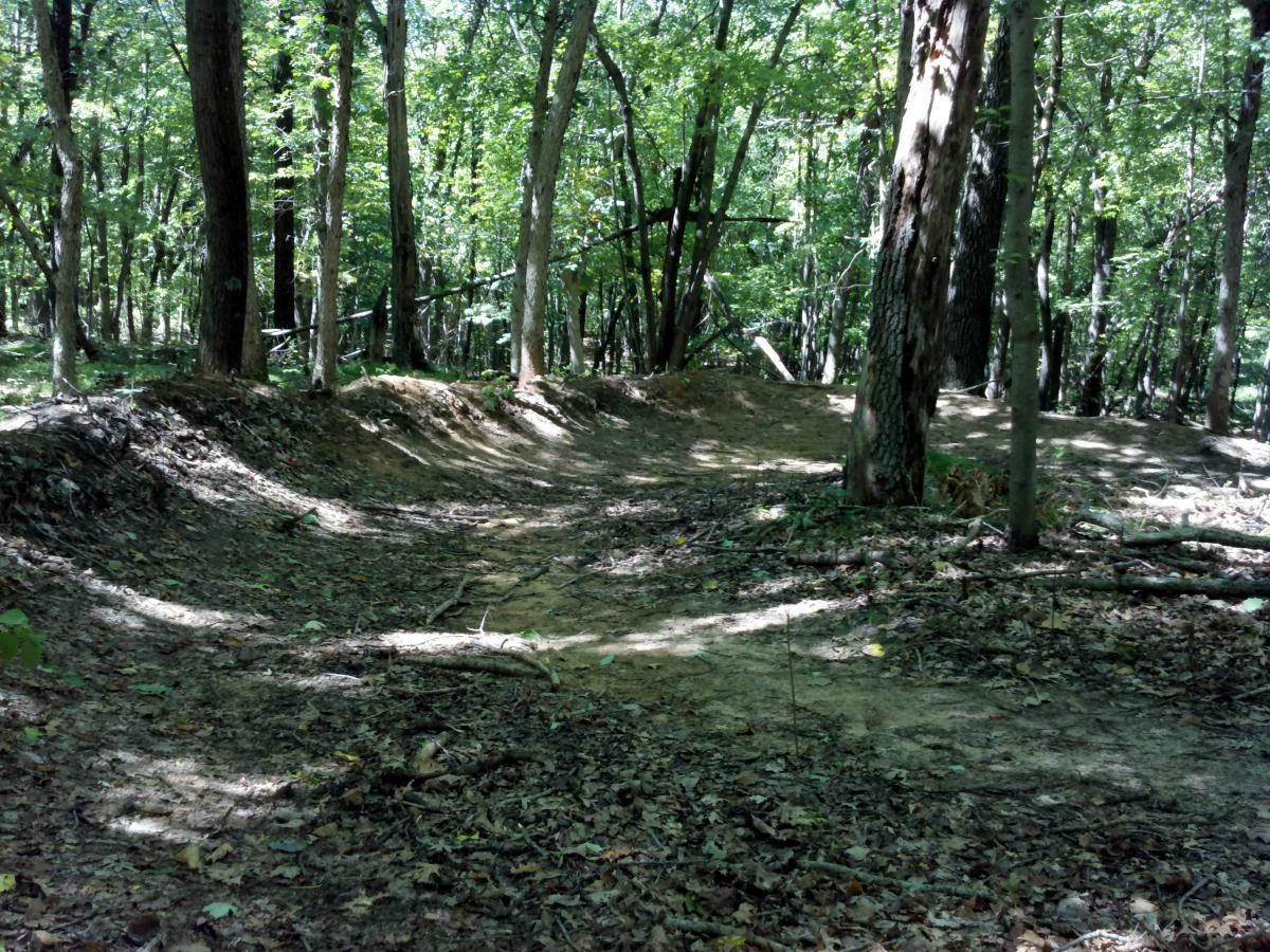 A sunlit forest path winding through trees, with a dirt trail partially covered in leaves and tree roots, creating a natural, rugged terrain suitable for hiking or biking. Northwest Park mountain bike trail.