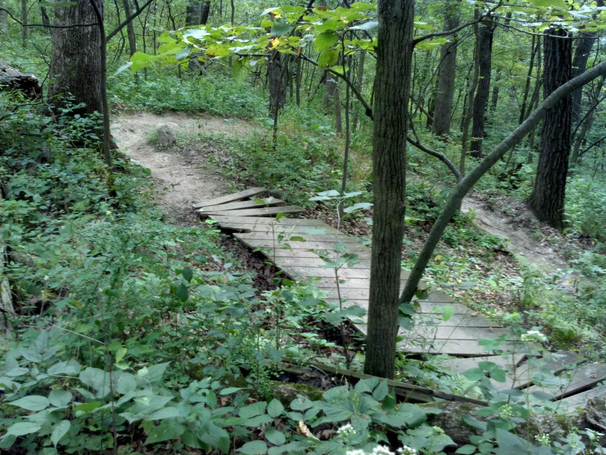 A narrow, wooden bridge spans a small section of a forest path, surrounded by dense greenery and trees. The trail curves gently, inviting exploration into the wooded area. Hixon Forest mountain bike trail.