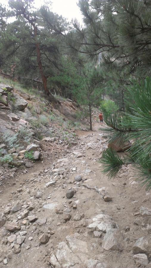 A rocky hiking trail meanders through a forested area, surrounded by tall pine trees and rugged terrain. In the distance, a hiker wearing an orange outfit can be seen walking along the path. The scene conveys a sense of adventure in a natural environment. Betasso Preserve mountain bike trail.