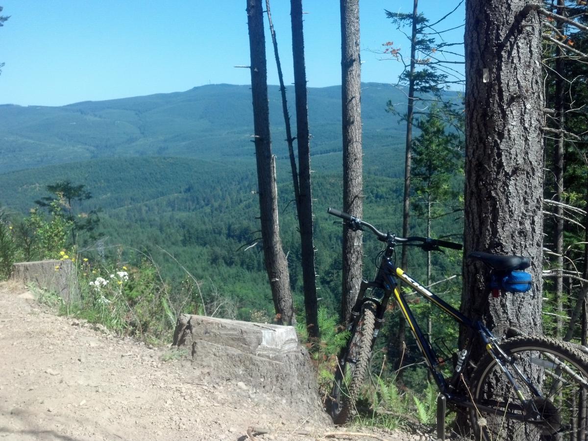 Mountain bike leaning against a tree with a scenic view of rolling green hills and trees under a clear blue sky. Tiger Mountain mountain bike trail.