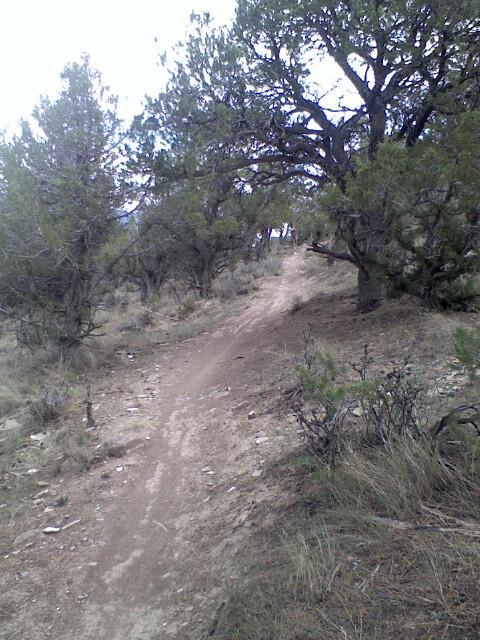 A dirt trail winding through a natural landscape, surrounded by tall trees and shrubs. The path is slightly elevated, leading up a gentle slope, with sparse grass and rocky terrain on either side. The scene is set in a peaceful outdoor environment, possibly in a forested area. The Boneyard mountain bike trail.