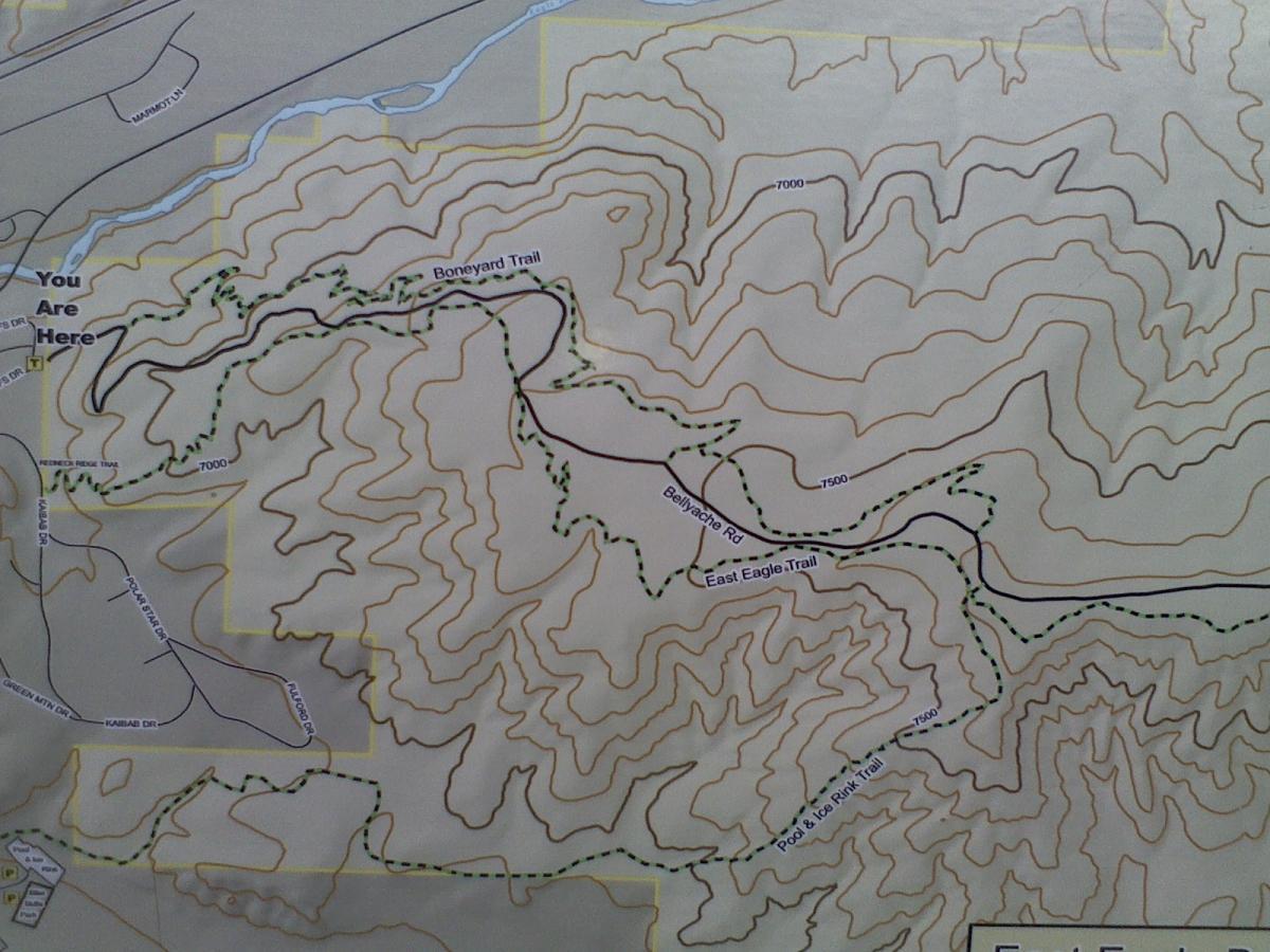 Map of hiking trails featuring contour lines, marking the topography of the area. It includes labeled trails such as Boneyard Trail, East Eagle Trail, and Pod & Tee Rink Trail. A 'You Are Here' marker indicates the current location. Surrounding features include nearby roads and elevation points labeled with their respective heights. The Boneyard mountain bike trail.