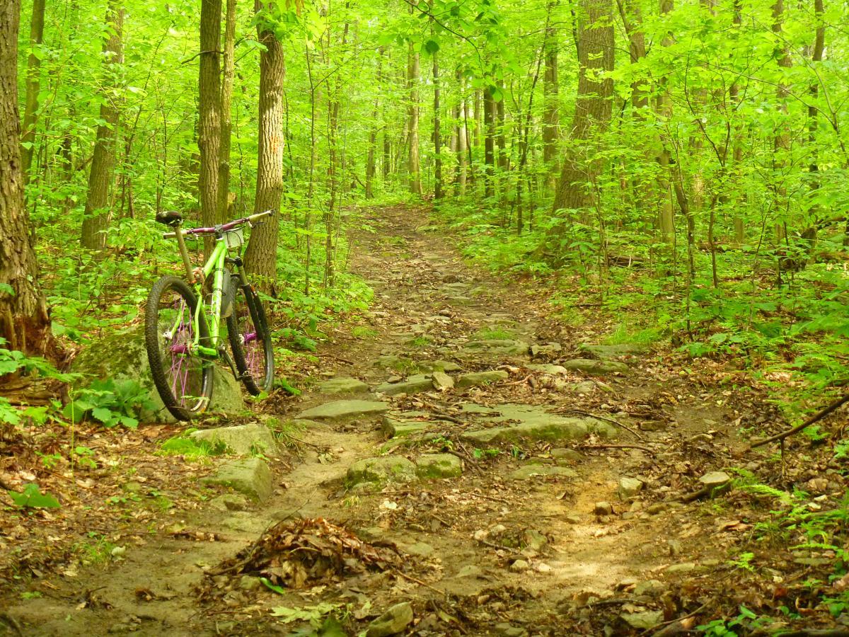 A vibrant green forest scene featuring a mountain bike propped against a rock beside a rocky, winding trail. Lush foliage surrounds the path, with sunlight filtering through the trees, creating a serene outdoor atmosphere. Sugarloaf Mountain Bike Area mountain bike trail.