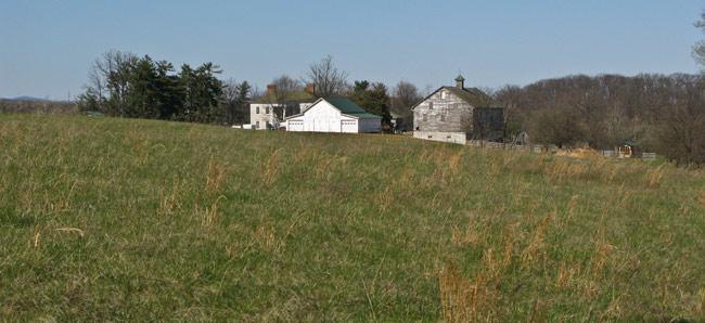 A rural landscape featuring a grassy field in the foreground and a farm complex in the background, including a few buildings and a barn, under a clear blue sky. Trees line the property. 3rd Battle Of Winchester Trail mountain bike trail.