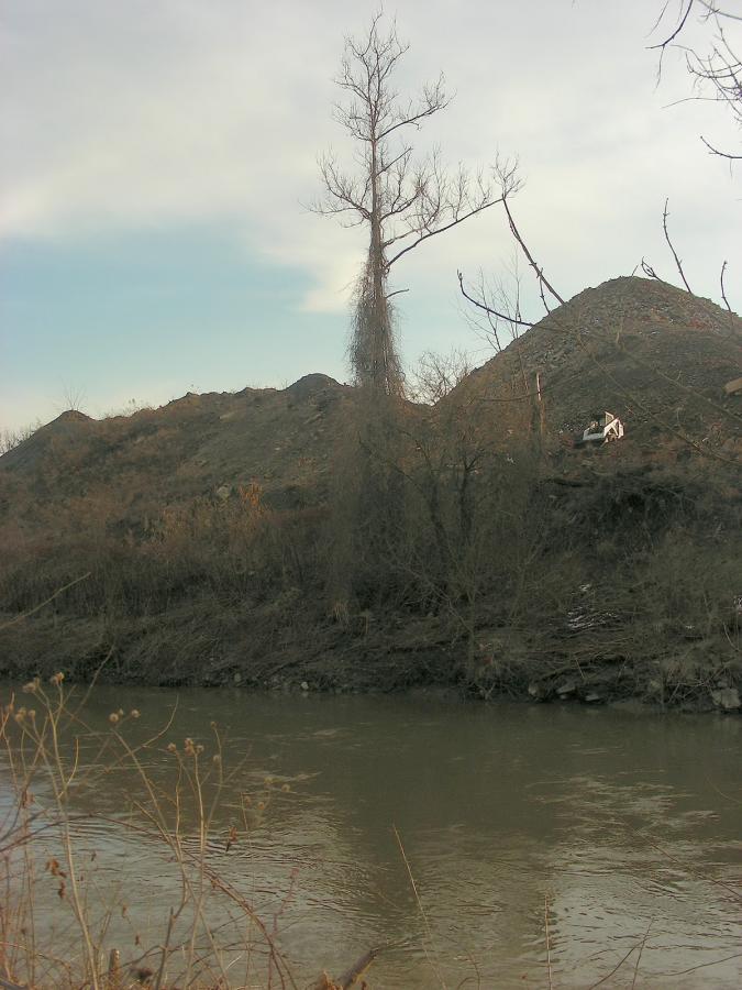 A tall, leafless tree stands next to a calm river, with a hilly landscape in the background. The scene is bathed in soft, muted light, and dry vegetation is visible along the riverbank. Ohio And Erie Canal mountain bike trail.