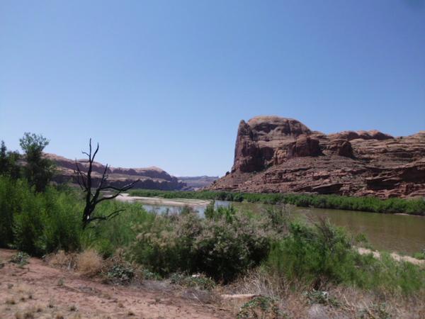 Landscape featuring a river surrounded by lush greenery and rocky formations under a clear blue sky. A dry, twisted tree is visible in the foreground, with large, red sandstone cliffs rising in the background. Klondike Bluffs mountain bike trail.