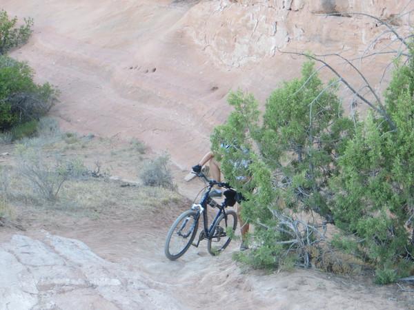 A mountain bike leaning against a bush on a dirt trail, with rocky terrain and sparse vegetation in the background. Rustlers Loop mountain bike trail.