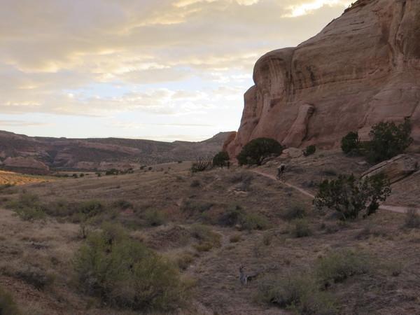 A scenic view of a desert landscape with rugged rock formations and a winding path. The sky is painted with soft clouds, suggesting either dawn or dusk, while low shrubbery and sparse vegetation dot the foreground, leading toward the distant hills. Mary's Loop / Horsethief Bench mountain bike trail.