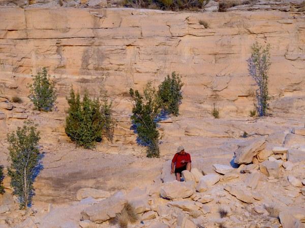 A person in a red shirt is sitting on a rocky terrain, surrounded by a sandy landscape and small patches of greenery. The background features a tall, light-colored cliff with horizontal layers visible. Kokopelli Area Trails mountain bike trail.