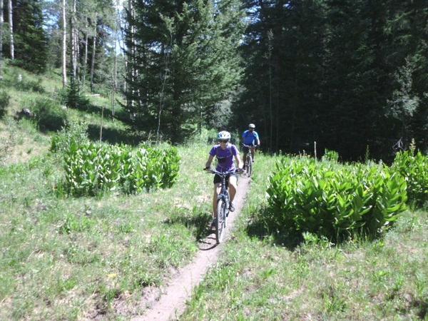 Two mountain bikers ride along a narrow trail surrounded by lush greenery and tall trees. The sunlight filters through the foliage, creating a vibrant outdoor scene. One biker is in the foreground, wearing a purple shirt and a helmet, while the other is slightly behind, dressed in blue. Turkey Flats mountain bike trail.