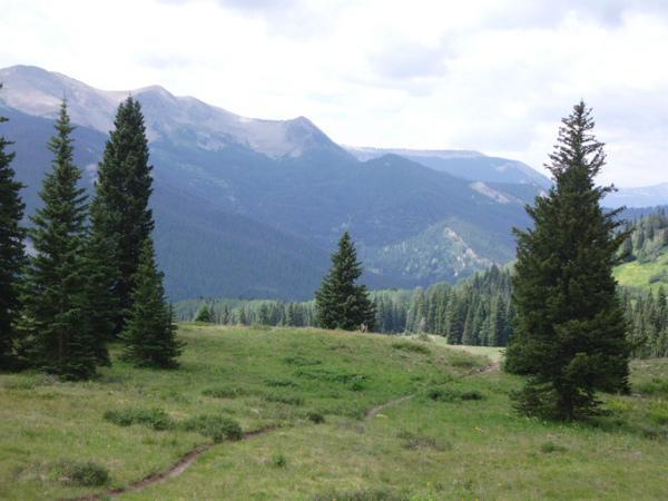 A scenic view of a mountain landscape featuring lush green meadows, tall evergreen trees, and distant mountain peaks under a cloudy sky. A winding dirt path traverses the foreground, inviting exploration into the serene wilderness. Trail 401 mountain bike trail.