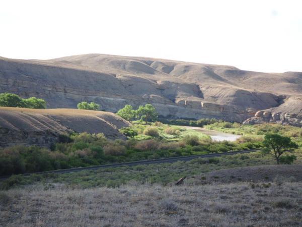 A scenic view of rolling hills and a winding river, surrounded by green trees and shrubs, under a bright sky. The foreground features dry grassland leading to a riverbank, while the hills rise gently in the background, creating a tranquil landscape. Gunnison River Bluffs Trail System mountain bike trail.