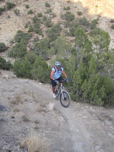 A mountain biker navigates a narrow dirt trail surrounded by shrubs and trees on a hillside. The cyclist is wearing a helmet and riding a mountain bike, showing determination as they tackle the challenging terrain under a clear sky. Joe's Ridge mountain bike trail.