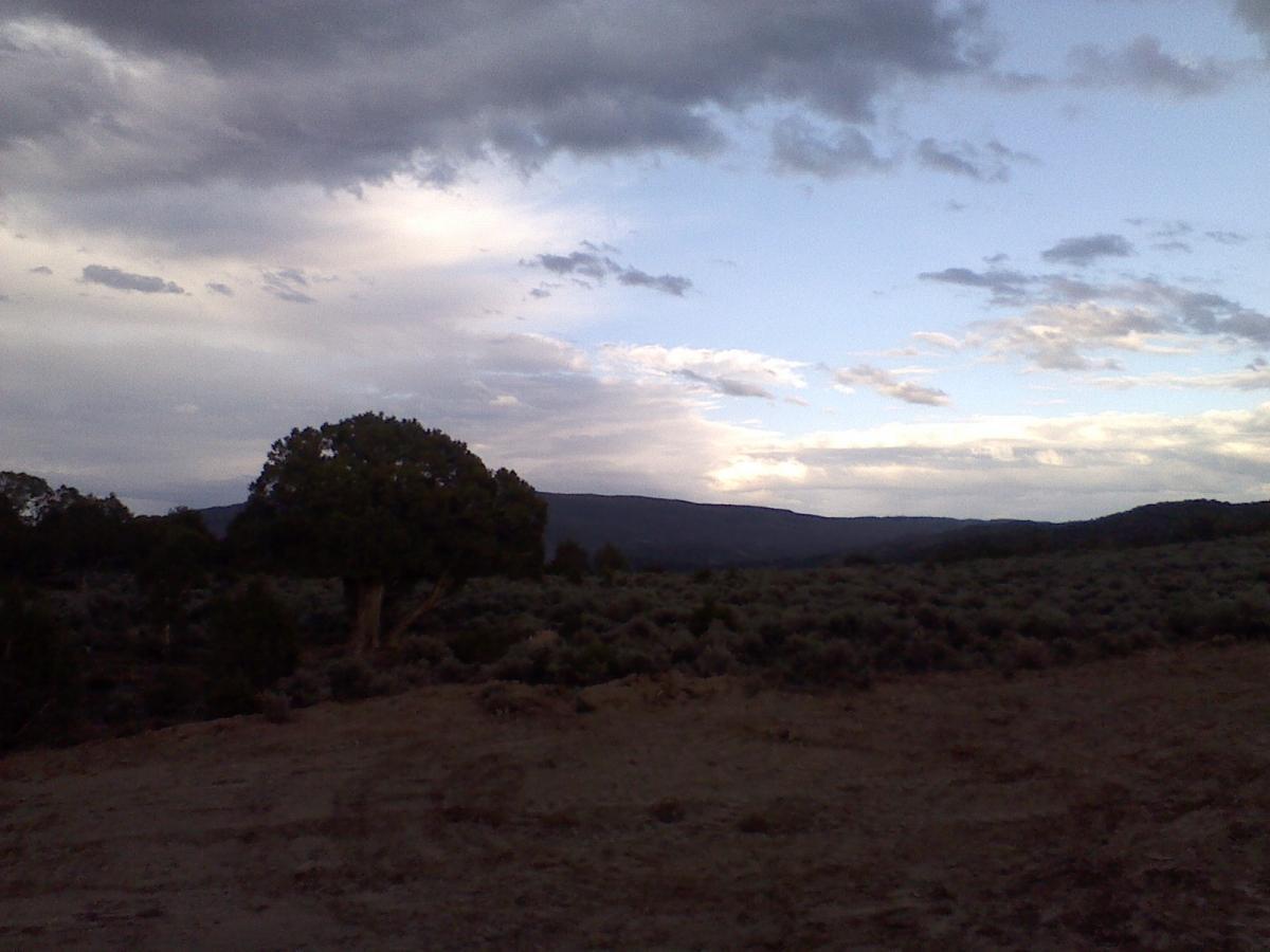 A serene landscape featuring rolling hills under a cloudy sky during twilight. In the foreground, a large tree is visible, surrounded by sparse vegetation and shrubs. The distant mountains are silhouetted against the fading light, creating a tranquil natural scene. The Boneyard mountain bike trail.