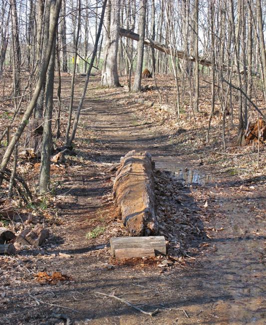 A dirt path winding through a wooded area, lined with bare trees and fallen leaves. A large log lies across the path, with a wooden platform beside it. The scene is bright and clear, indicating early spring. 3rd Battle Of Winchester Trail mountain bike trail.