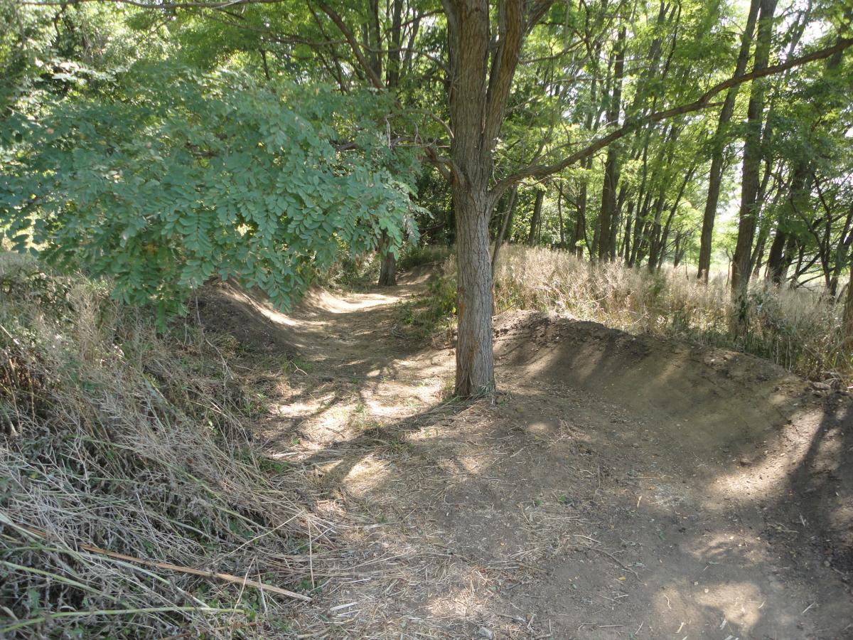 A winding dirt path surrounded by greenery, featuring a tree on one side and brush on the other. The sunlight filters through the leaves, creating a natural, serene atmosphere. Beverly Park mountain bike trail.
