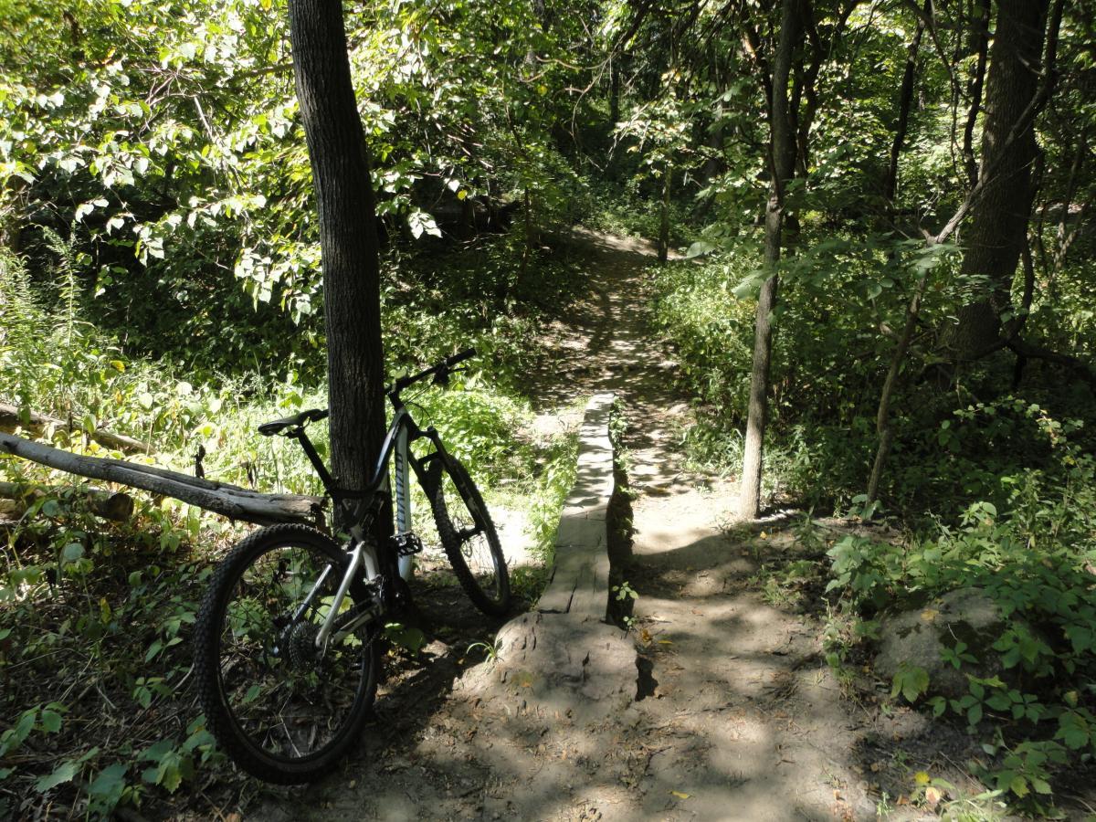 A mountain bike leaning against a tree beside a dirt path in a dense, green forest, with sunlight filtering through the leaves. Beverly Park mountain bike trail.