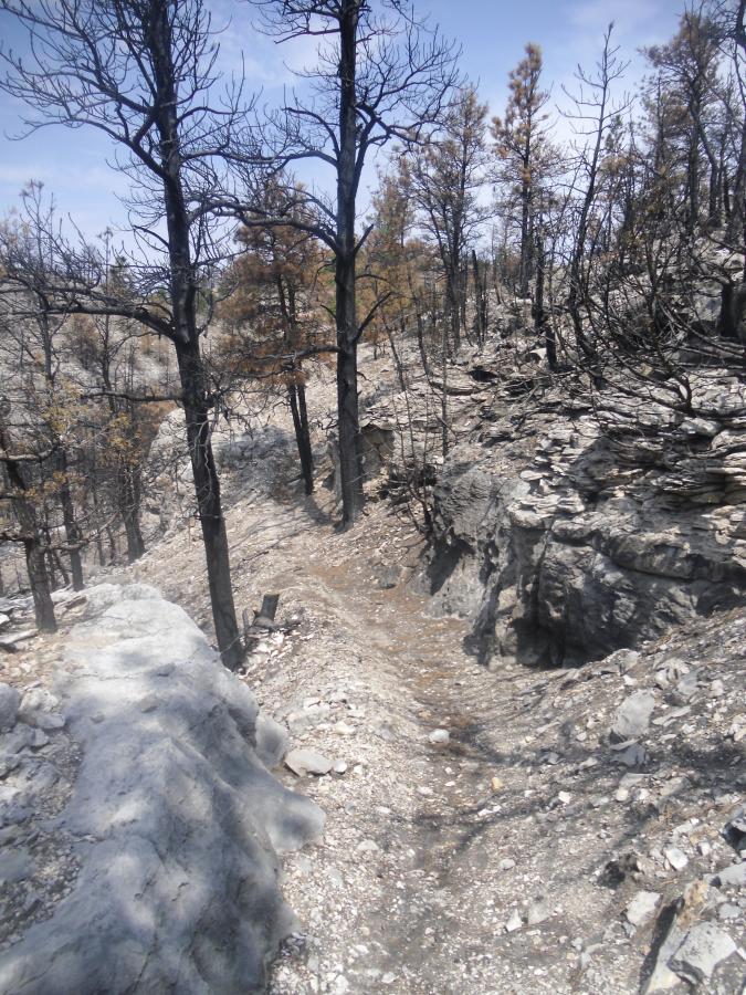 A scorched landscape displaying blackened trees and bare rocky ground, indicating the aftermath of a wildfire. The sky is partially cloudy, and the scene reflects a stark environmental change with minimal vegetation and jagged terrain. Guernsey State Park mountain bike trail.