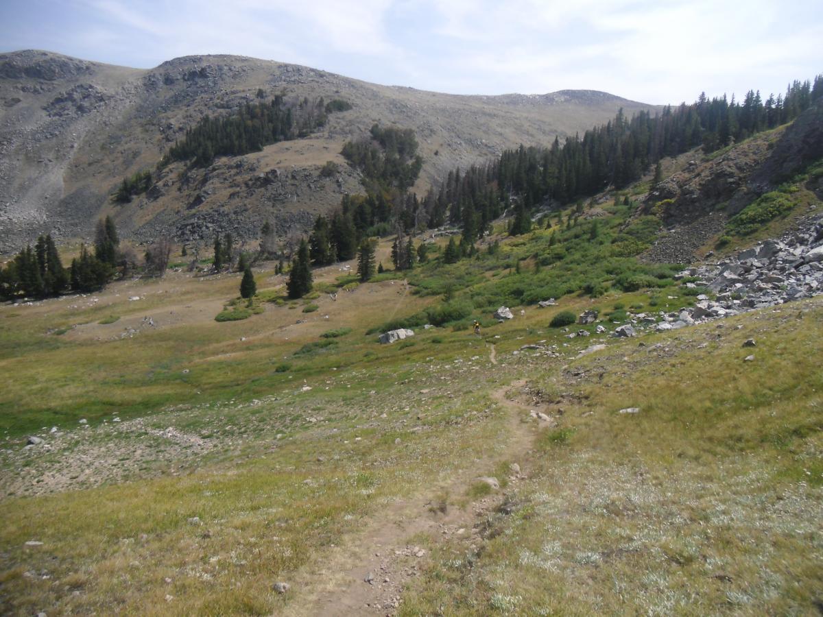 A scenic view of a mountainous landscape with a dirt trail leading through a grassy valley. The area features sparse vegetation, including patches of green grass and scattered rocks, with coniferous trees lining the slopes. The backdrop consists of rugged mountains under a partly cloudy sky. Line Creek Plateau mountain bike trail.