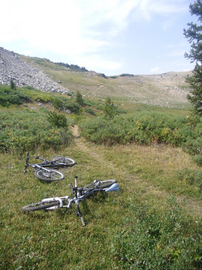 Two mountain bikes lie on a grassy path surrounded by dense foliage, with a picturesque landscape of rolling hills and a rocky slope in the background. The sky is partly cloudy, suggesting a calm outdoor environment. Line Creek Plateau mountain bike trail.