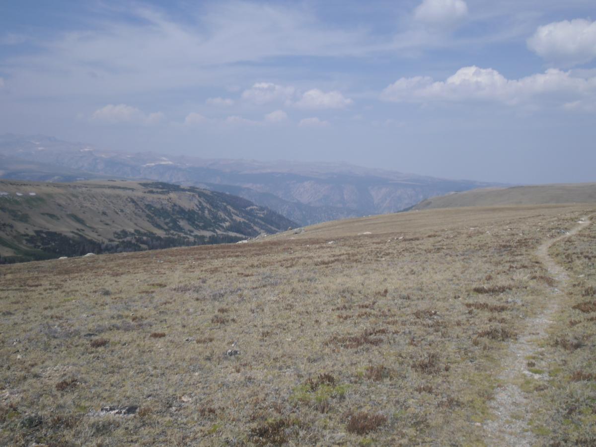 A panoramic view of a rugged mountain landscape, featuring rolling hills and a vast, open field of dry grass and shrubs. In the background, distant mountain ranges are visible under a partly cloudy sky. A narrow dirt path meanders through the foreground, inviting exploration of the serene natural setting. Line Creek Plateau mountain bike trail.