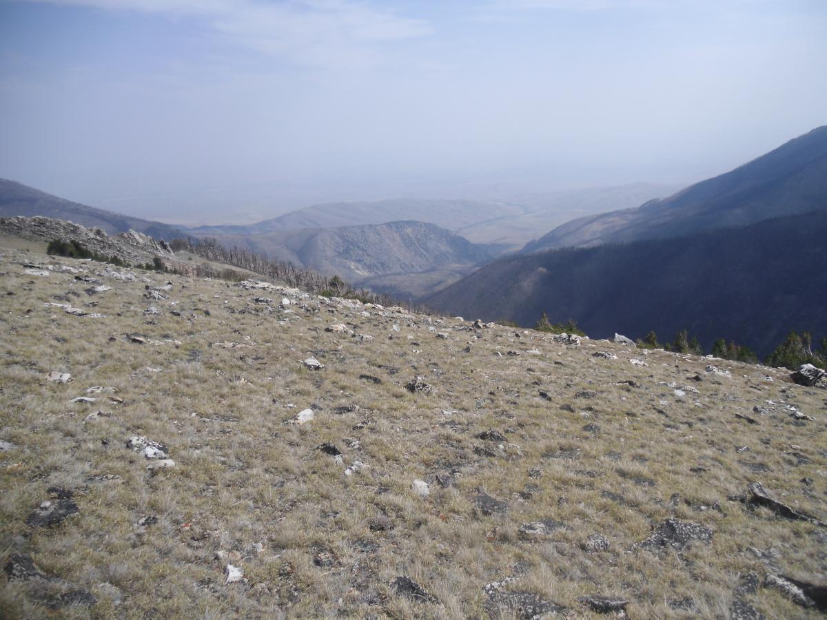 A panoramic view of a mountainous landscape with grassy slopes and scattered rocks. In the background, rolling hills and ridges are visible, shrouded in a slight haze. The scene highlights a mixture of terrain with patches of vegetation and bare rocky areas, showcasing the natural beauty of the wilderness. Line Creek Plateau mountain bike trail.