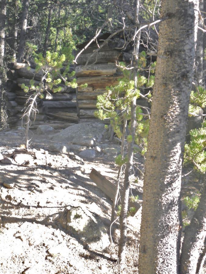 A weathered log cabin partially obscured by trees and foliage, set in a sunlit forest. The ground is rocky and covered with pine needles, with various plants and bare patches of earth surrounding the structure. Silver And Basin Lakes Trail mountain bike trail.