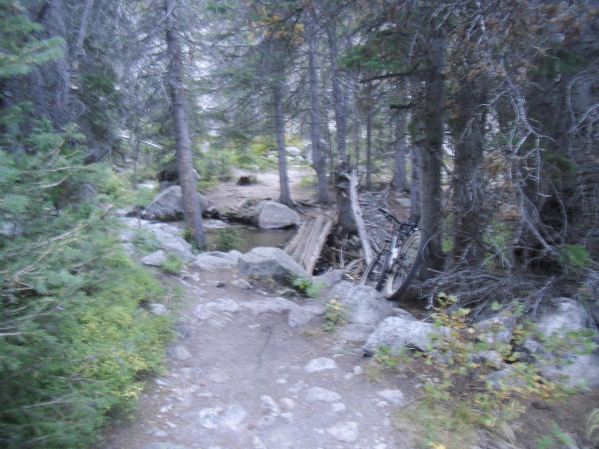 A narrow, winding path through a dense forest of evergreen trees, with rocky terrain and a small stream running alongside. An old wooden bridge crosses the stream, and a bicycle is leaning against a tree nearby. The atmosphere is serene and slightly misty, suggesting a quiet natural setting. Silver And Basin Lakes Trail mountain bike trail.