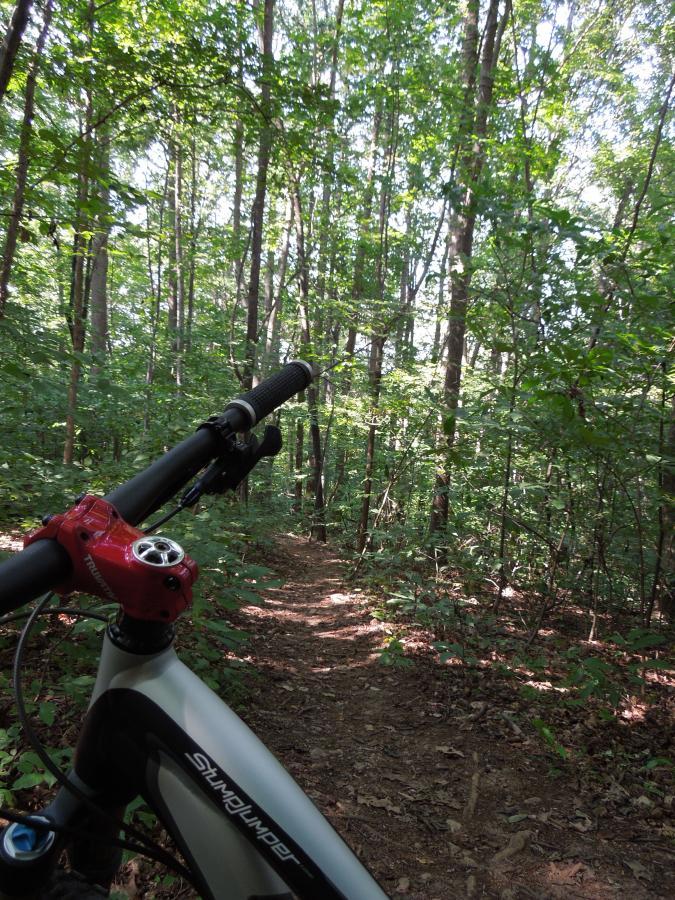 A mountain bike leaning slightly to the left, with the handlebars in focus, stands on a dirt path surrounded by dense green foliage and trees in a sunny forest setting. Rappahanock River Trail mountain bike trail.
