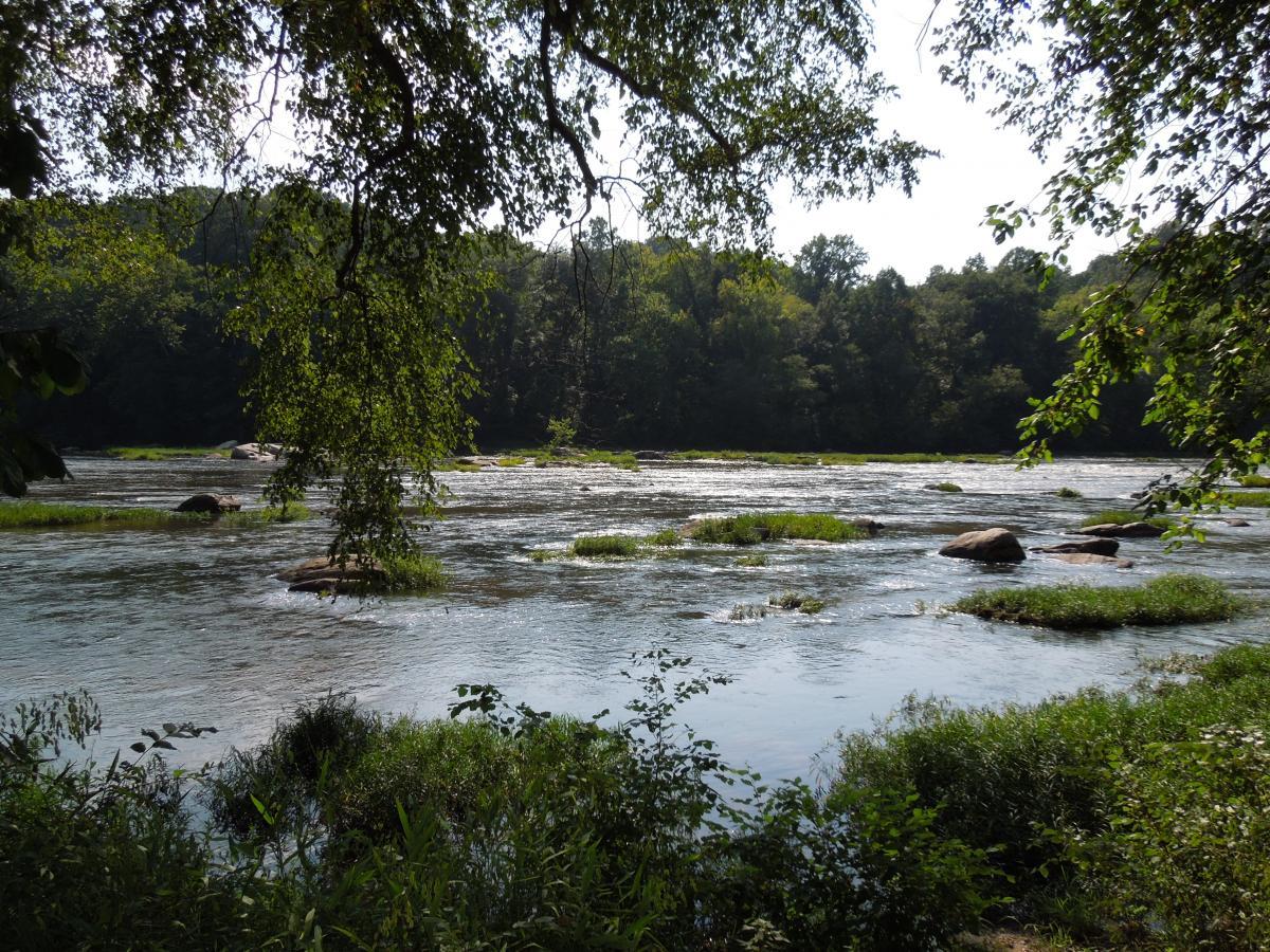 A tranquil river scene surrounded by lush greenery, with gentle ripples on the water's surface and small rocks visible. Trees frame the view, casting dappled shadows, creating a serene natural atmosphere. Rappahanock River Trail mountain bike trail.