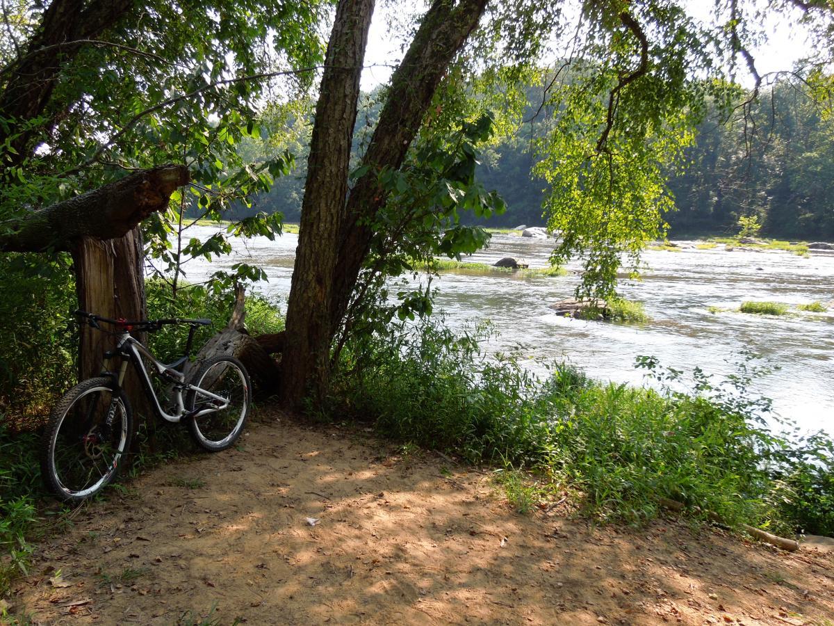 A mountain bike leaning against a tree beside a riverbank, surrounded by lush greenery and sunlight filtering through the leaves. The river flows gently in the background, creating a peaceful natural setting. Rappahanock River Trail mountain bike trail.