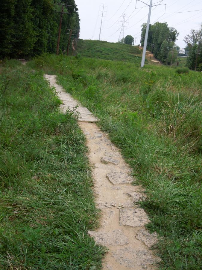 A narrow stone pathway winding through lush green grass, leading toward a hillside under overcast skies, with tall power lines visible in the background. Wakefield mountain bike trail.
