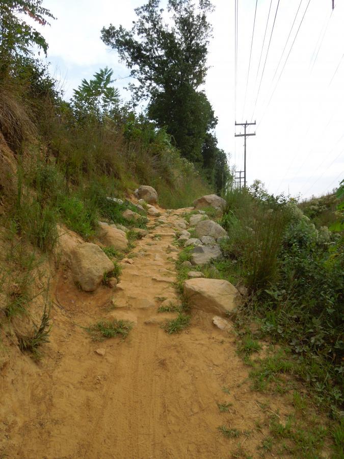 A narrow, rocky trail winding through vegetation, leading upward. The path features scattered stones and sandy ground, flanked by tall grasses and shrubs. Utility poles are visible in the background, suggesting proximity to a power line. The scene is set in a natural outdoor environment. Wakefield mountain bike trail.
