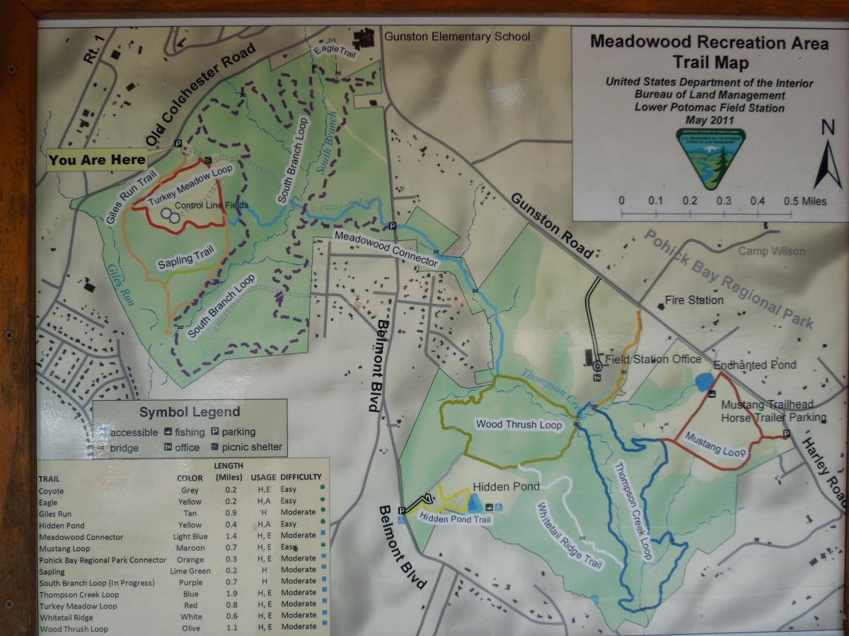 Map of the Meadowwood Recreation Area trail system, featuring various trails such as Turkey Meadow Loop, Sapling Trail, and South Branch Loop. Includes symbols for accessible paths, fishing areas, parking, and picnic shelters. The map indicates the user’s location with a "You Are Here" marker and shows nearby landmarks, roads, and trail lengths and difficulties in a legend. Meadowood mountain bike trail.