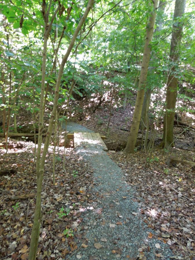 A narrow gravel path winding through lush green trees in a forest, leading to a small wooden bridge that crosses a shallow creek. Fallen leaves cover the ground, and dappled sunlight filters through the canopy above. Meadowood mountain bike trail.