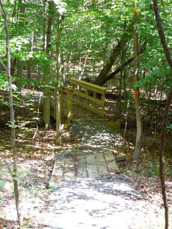 A wooden bridge crosses a small pathway in a lush green forest, surrounded by trees and dappled sunlight filtering through the leaves. The scene is peaceful, with fallen leaves scattered on the ground and a mixture of dirt and gravel leading towards the bridge. Meadowood mountain bike trail.